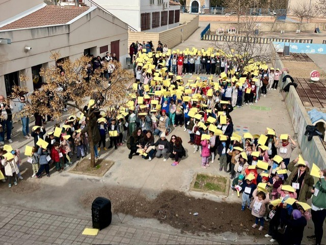 carrera solidaria cancer