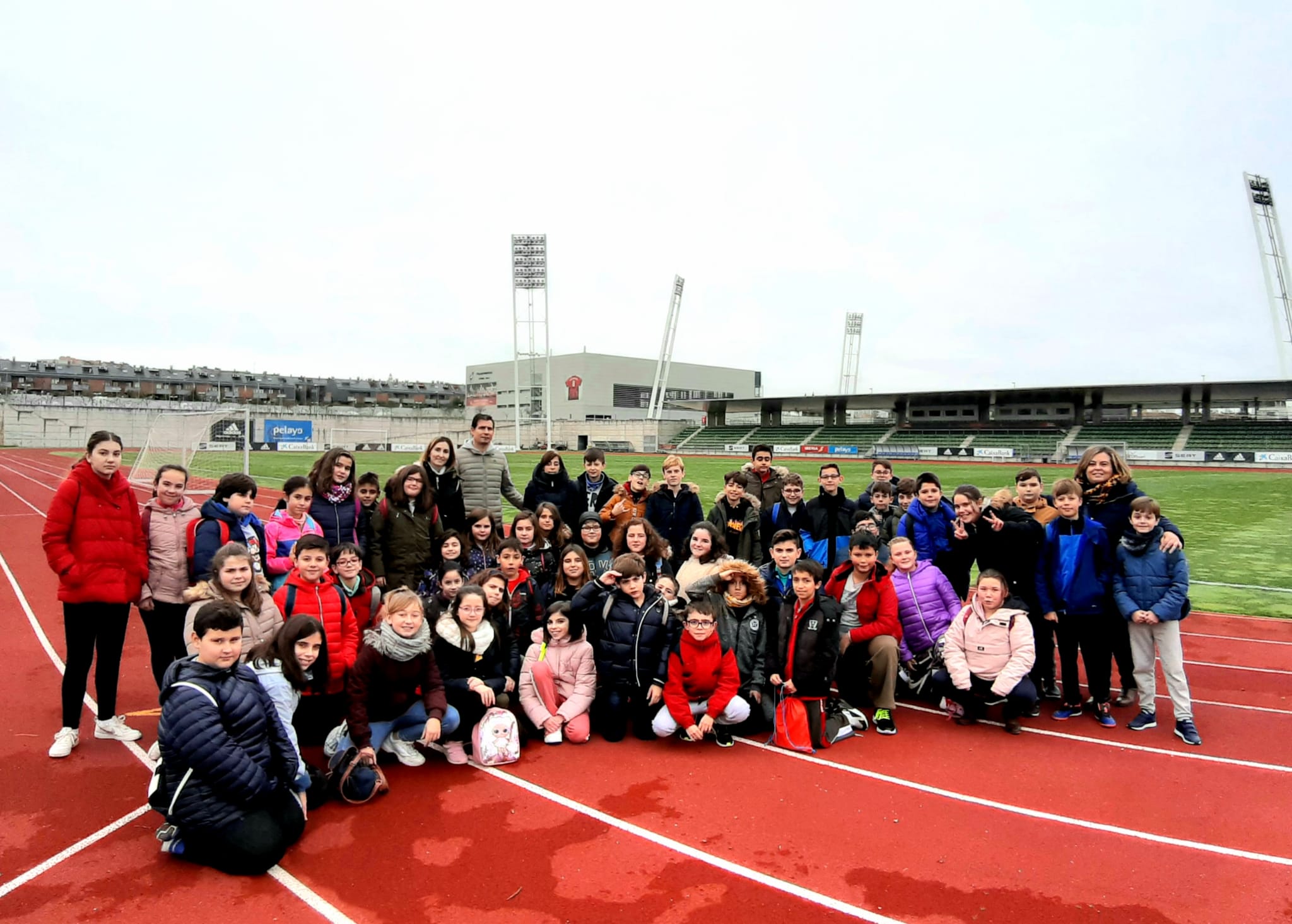 rfef